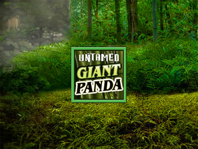 Untamed Giant Panda