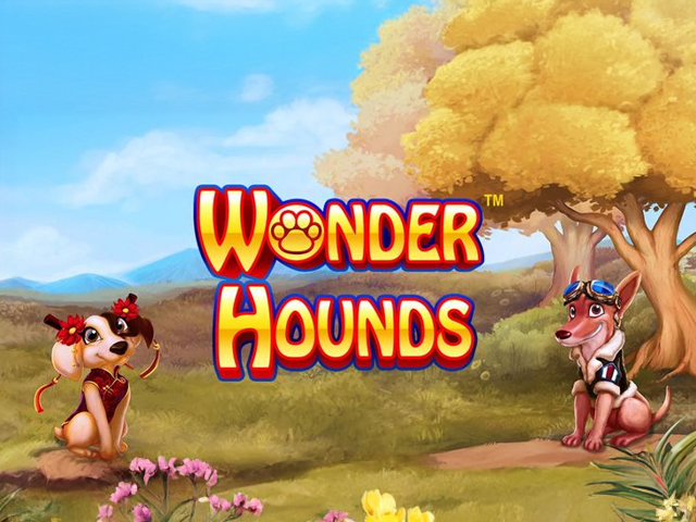 Wonder Hounds