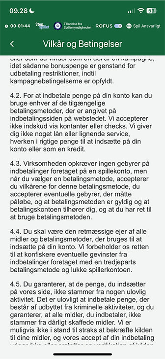 Her ser du, at der er ingen gebyrer på en Apple Pay betaling.