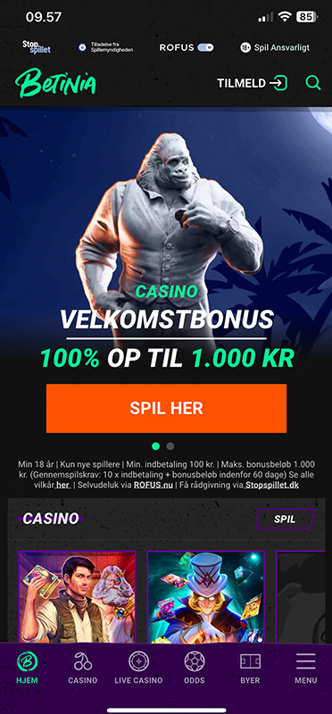 Login siden på Betinia