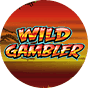Wild Gambler