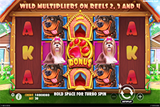Slot machine The dog house megaways di Betsson casinò