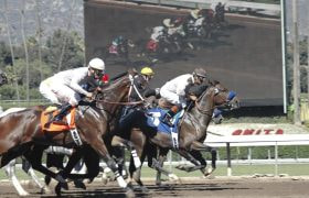 Corsa di cavalli su pista con fantini in gara