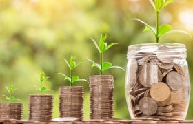 Monete impilate con piantine crescenti