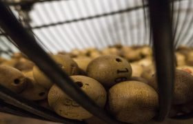 Sfere numerate in legno dentro una gabbia metallica