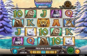 Screenshot della nuova slot Wild North Radiant Skies Go Collect di Play’n GO