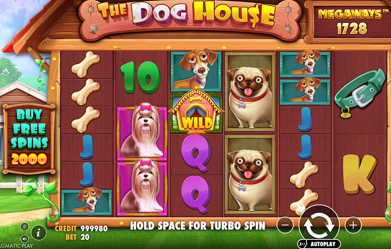 Screenshot van de Raining Wilds feature van The Dog House Megaways