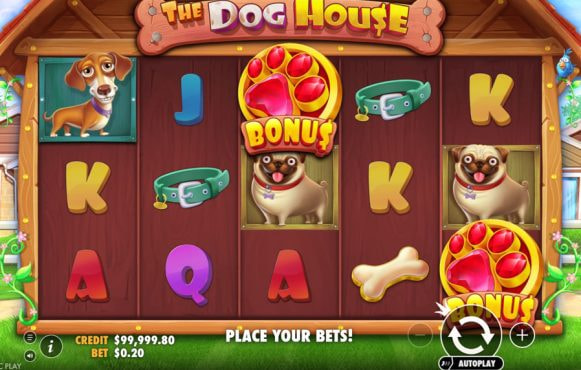 Screenshot slot, rood/gouden pootjes als bonus symbool