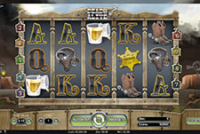 Dead or Alive at 247Bet