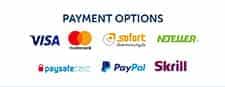 Payment options at RedKings Casino
