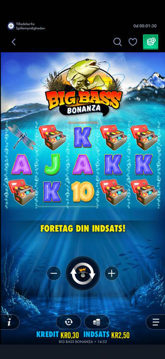 Sådan ser startskærmen ud, når du spille Big Bass Bonanza hos Betinia.