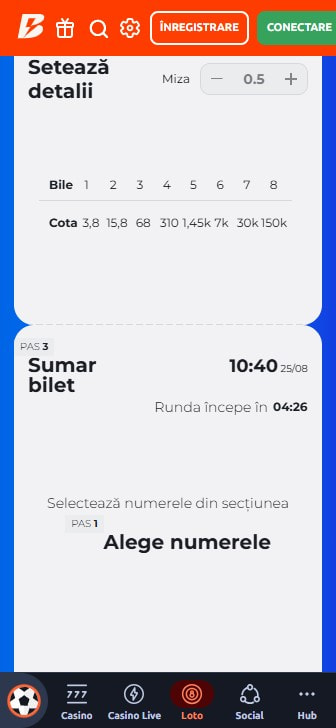 Miza și cotele afișate la plasarea unui pariu pe loto online