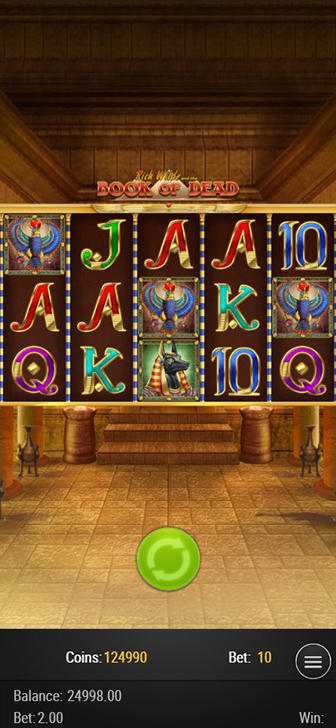 Book of Dead spelautomat som spelas i mobilläge