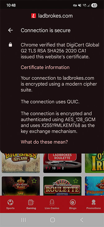 Ladbrokes Encryption and Security Details