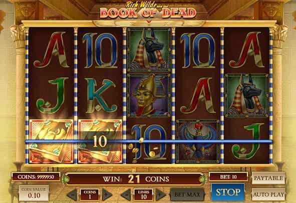 The reels and rows of the Book of Dead slot game from Play'n GO.