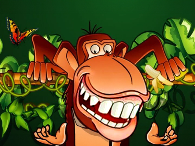 Mad Mad Monkey