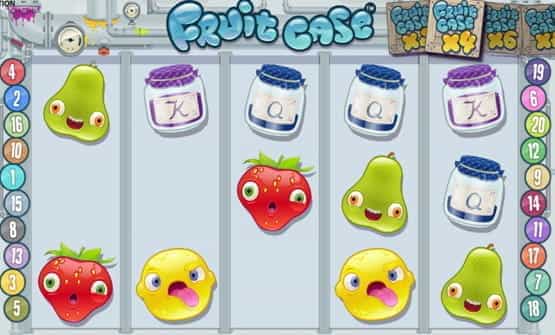 Fruit Case slot game from Microgaming.