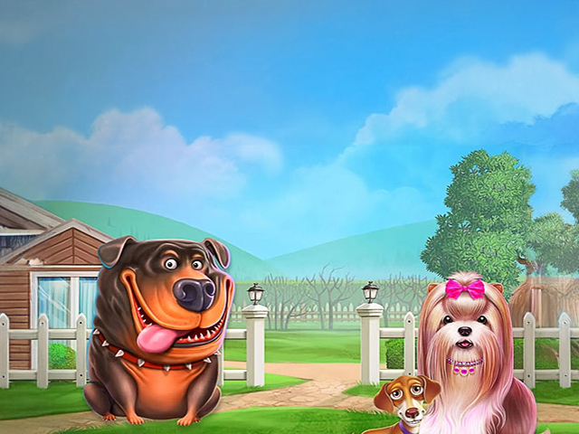 The Dog House