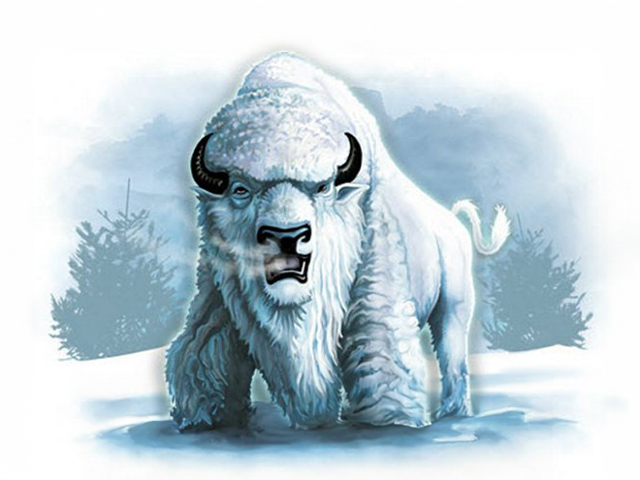 White Buffalo