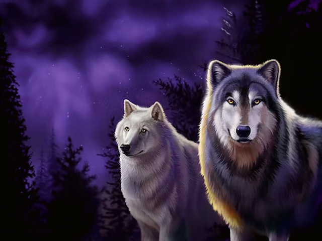 Wolf Run online slot during the game