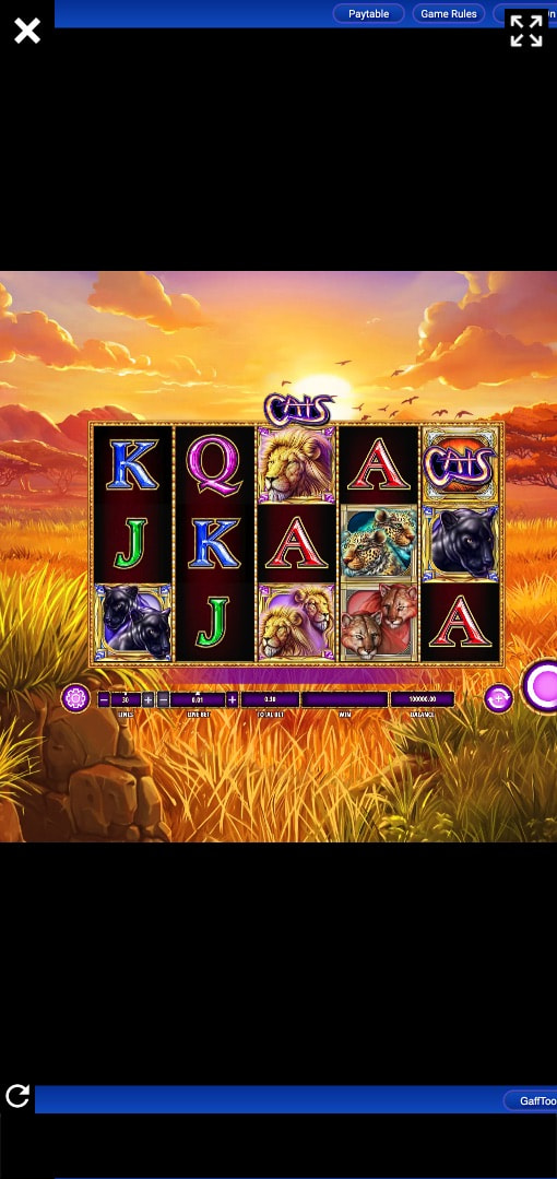 Screenshot van de Cats gokkast van IGT