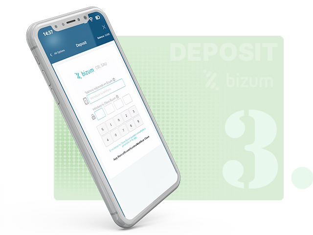 Entering a Mobile Number and 4-Digit Bizum Code
