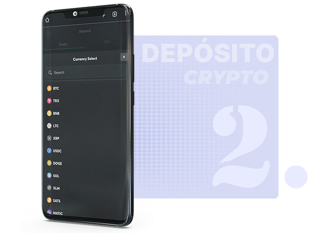 Elección de la Criptomoneda y la Red