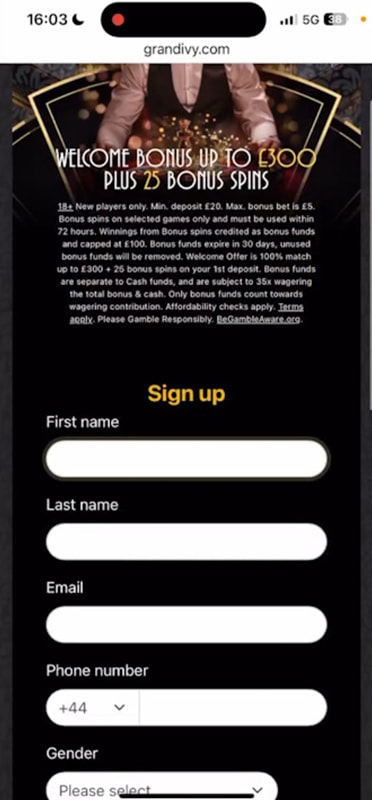 The Login Screen of an Online Casino