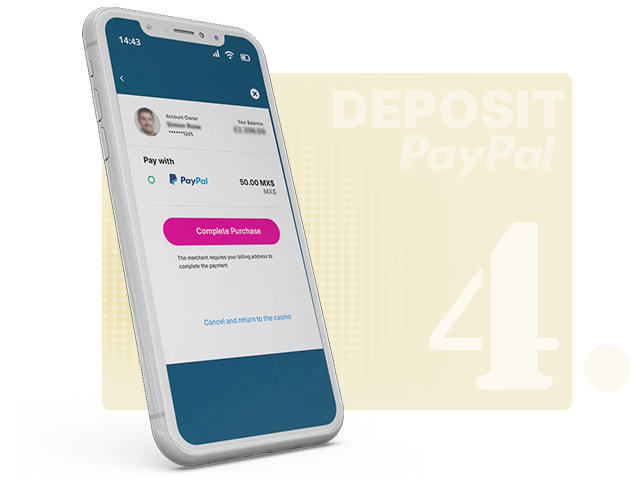 PayPal Log-in Screen