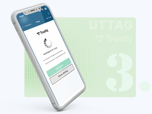 Fyll i Ytterligare Detaljer för Uttag