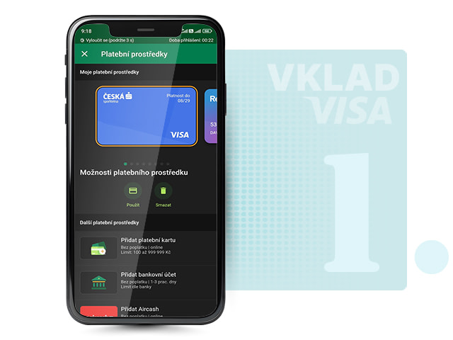 Výběr platební karty Visa v online casinu Chance