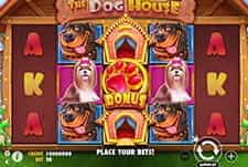 The Dog House slot gameplay.