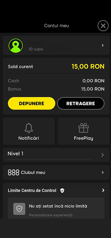 The Player Balance at Casino Name