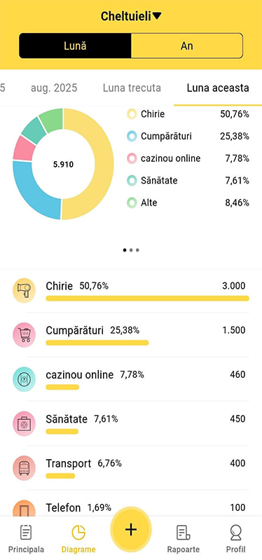 Exemplu de grafic lunar cu bugetul de venituri și cheltuieli, în care este menționată și ponderea cheltuielilor pentru distracția la cazinou