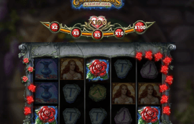 Sloturi cu trandafiri populare