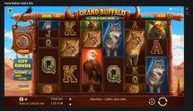 Screenshot cu noul slot Grand Buffalo Drop & Win dezvoltat de BGaming