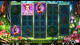 Enchanted Waysfecta Feature