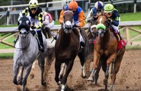 Five jockeys in different colored outfits racing their horses on a race track.
