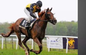 A jockey racing his horse in full gallop on an outdoor race track during an event.
