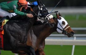 Two jockeys racing their horses head to head on a professional outdoor horse racing track.