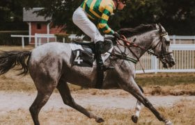 Jockey astride his racing mount