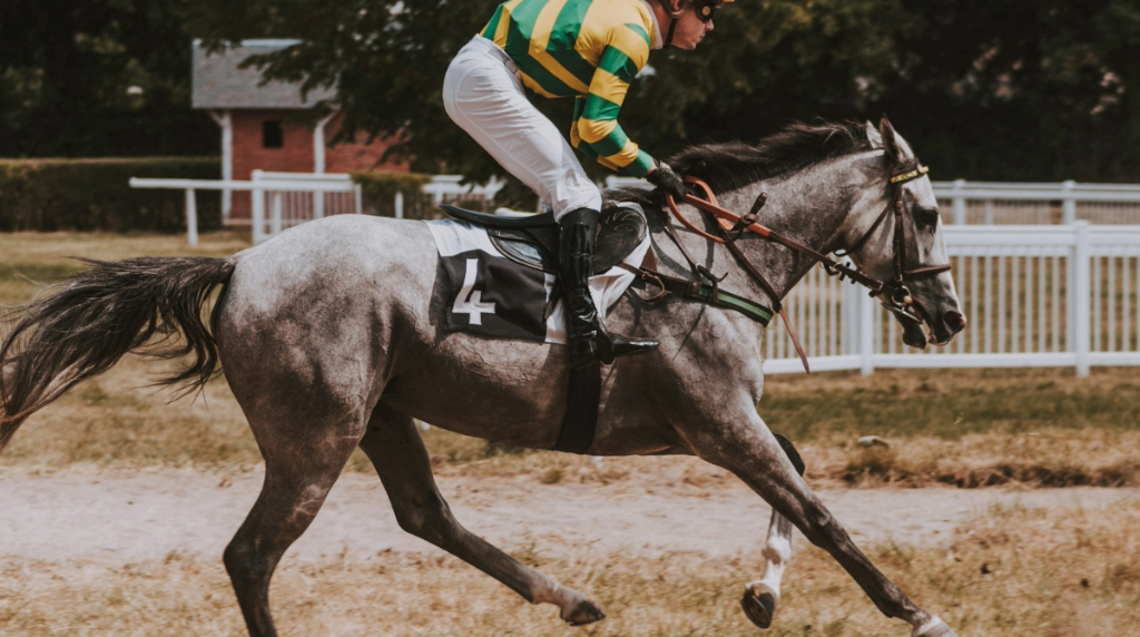 Jockey astride his racing mount