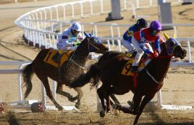 Online horse race betting remains big business.