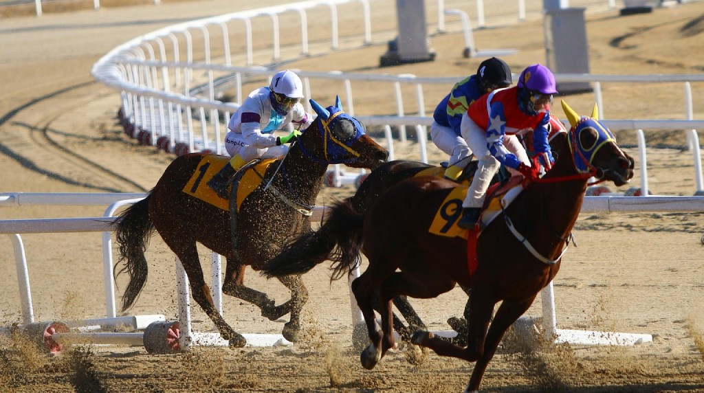 Online horse race betting remains big business.