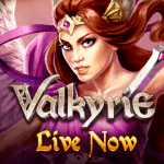 A promotional image for the ELK Studios slot game Valkyrie.