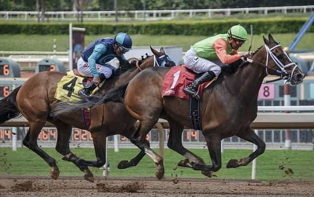 Two jockeys racing horses.