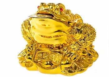 A gold lucky frog.