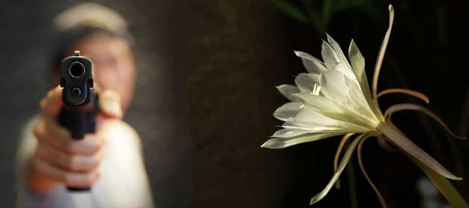 A gun pointing at the viewer, next to a white lily.