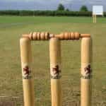 A cricket wicket and stumps.