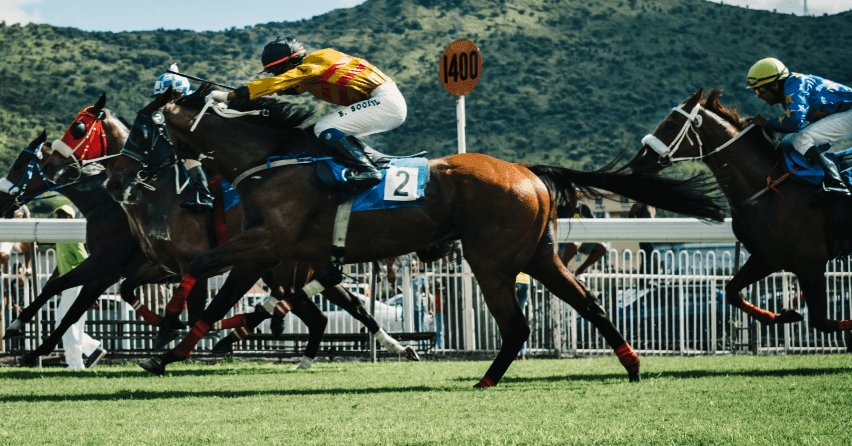 Onlookers watch horses' race on a sunny day. 